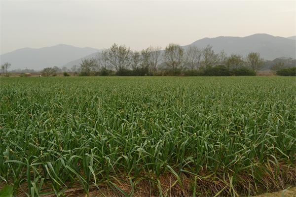 ������ɽɺ����չ�ﶬ��������ũ����