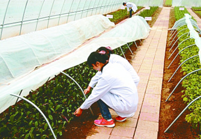 ������ؼ�����Ա�����ľ�������