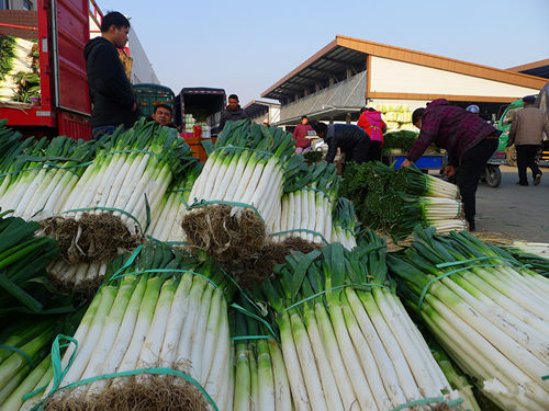 ������ͨũ����Ʒ���������߲˻�Դ����