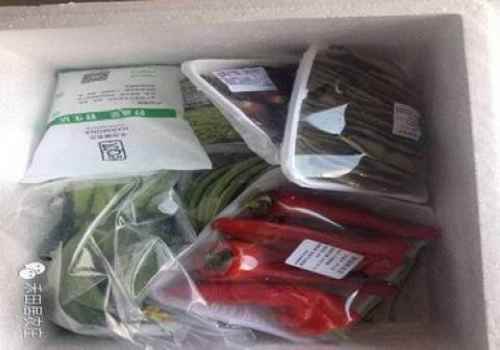 ��������Դ���׼��¸���ũׯ�ͻ������µ� �߲����͵���2