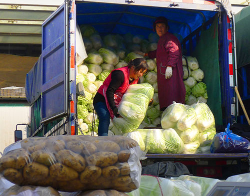 ������ͨũ����Ʒ���������߲˻�Դ����3