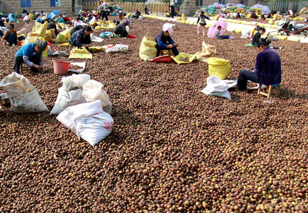 ����¡���Ͳ��ϲ�����