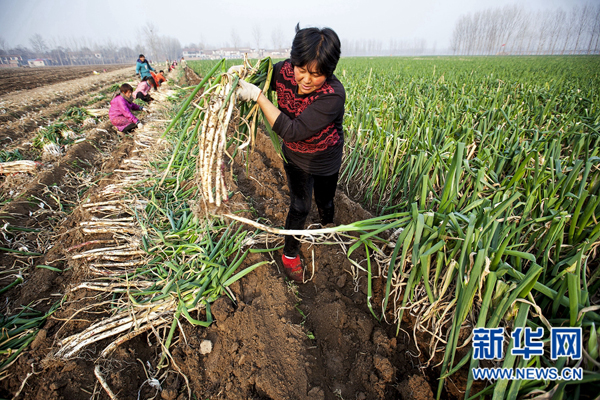 ���ϻ��أ���з��ռ۸�� ��ũ��ɥ�ο���