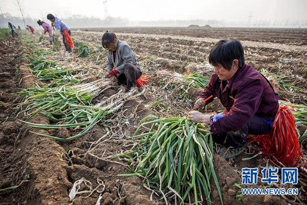 ���ϻ��أ���з��ռ۸�� ��ũ��ɥ�ο���2