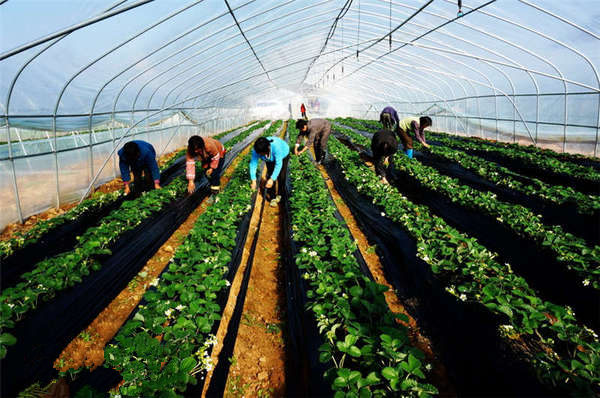 4գΰũݮժ԰ԱΪݮӲݡ