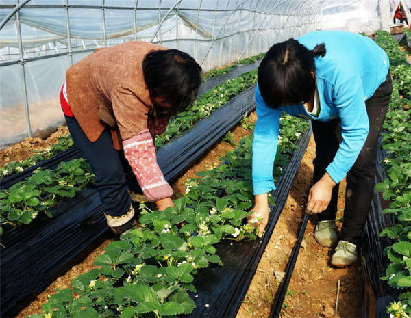 4գΰũݮժ԰ԱΪݮӲݡ