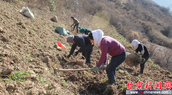 ��ǧ��ҩ�硱����崲���չ��ҩ����40��Ķ ��ֵ��5��