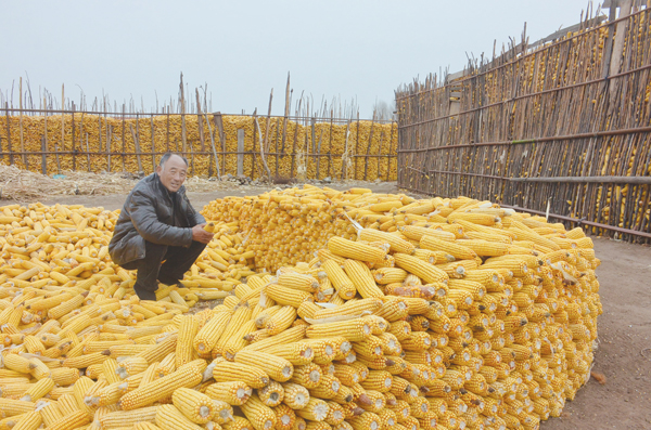 ������������������ؽ�����ʳȫ�����