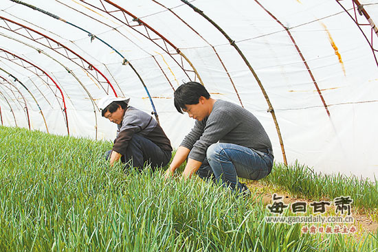 ���������г����ũ�������������ջ�²�