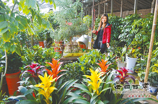 ����������������������ѡ������