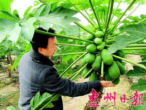 㶫лƽ̶ţ̽ľţζľ