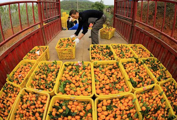 �������ǣ���Ķ�۽�ϲ�����