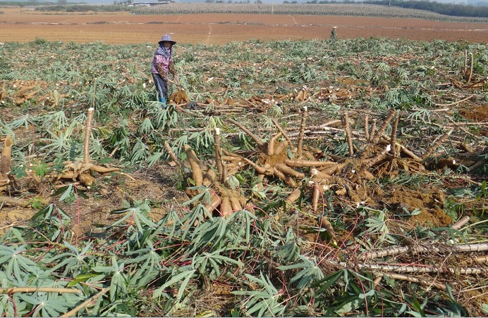 �������磺ľ�������ջ�����