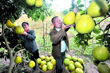 �����ɽ���������ַ�� ��ũ����