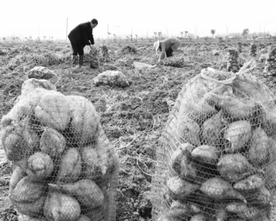 ���չ����ز����䷽ʩ�ʸ�������