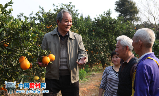 ֵһˡԬظͼһŷũֲ