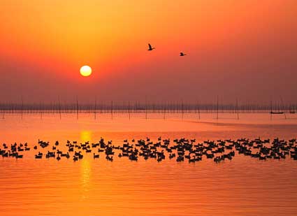 ���ջ��ϣ����������¸���