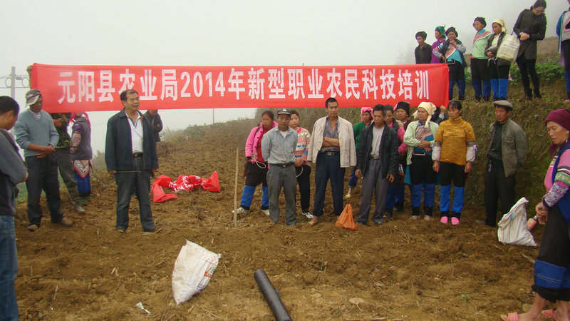 ����Ԫ����ũҵ������ũ��Ƽ���ѵ�������ָ��