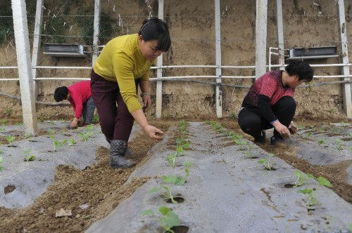 �ӱ��ȷ��У���չ��ʩ�߲� ����ũҵƷ��