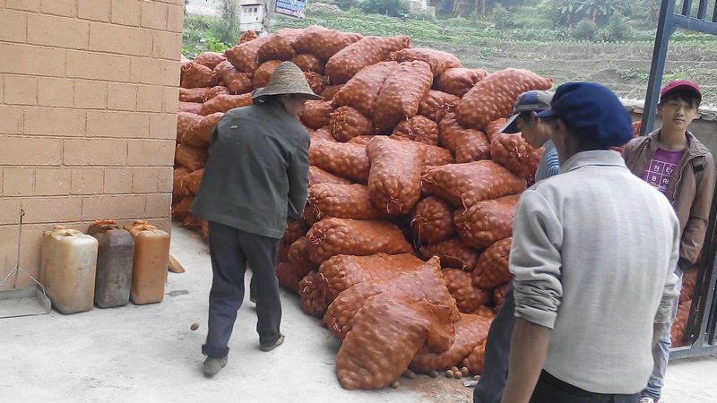 ����Ԫ���ػ�ũ�·���ѷ��Ŷ�����������40���