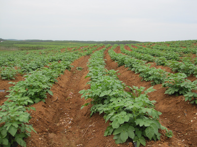 �����������������������ȫ�̻�е���������ﳤ��ϲ��