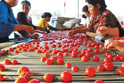 ������ˮʥŮ��ӳ��ũ���¸�·