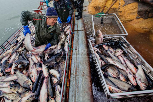 �������Ƹ��޹�����ˮ����չ�Ӧ�����г�