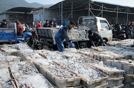 �㽭��ɽ�����������洬�ظ� ��������