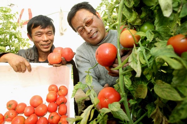 ���ջ������޹��������������ܱ��г�