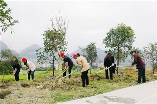 �����ϵ�����ɫũҵʾ�������������ݱ