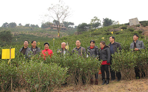 ������ƽ�в�Ҷ��׼԰ʾ��������Ŀ˳��ͨ������