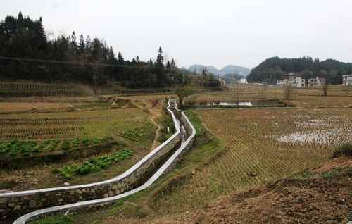 湖北恩施:借力项目建设助推农业腾飞