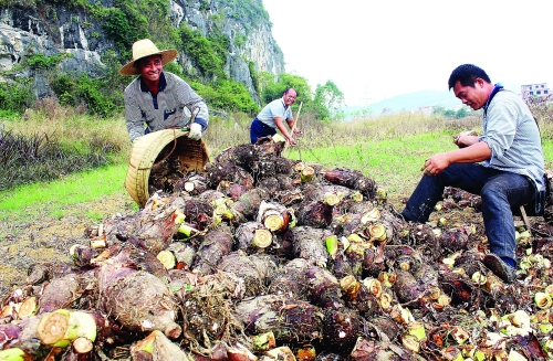 �����ƽ��������ҵ������ģ����չ�ٽ�ũ������