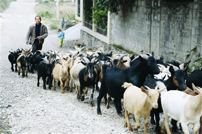 �����������ִ���ɫũҵʾ��������ӿ��ƽ�