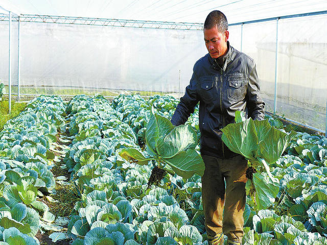 ���������������߲�����