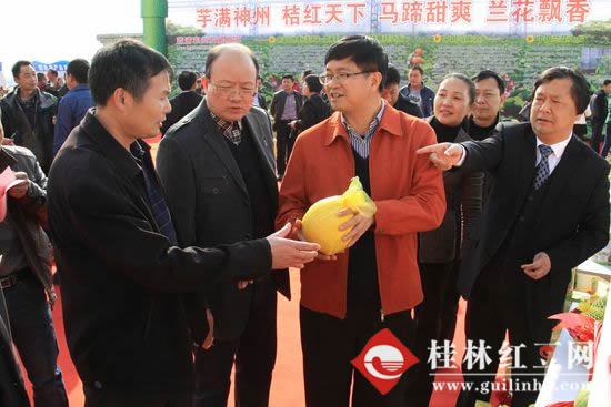 �������־ٰ조ũ���ɹ� �߽����֡��ƽ��