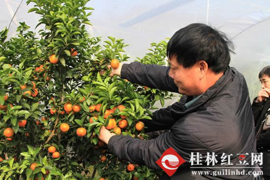 �������־ٰ조ũ���ɹ� �߽����֡��ƽ��2