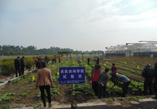 㶫лũѧУ߲Ҫ溦ۺϷογ