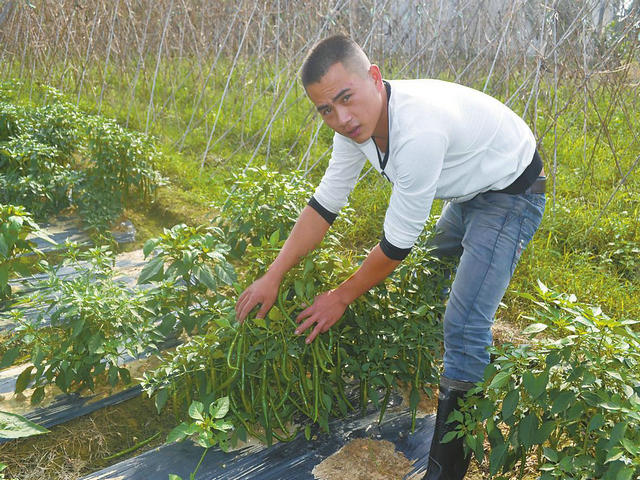 �������֣������� �����