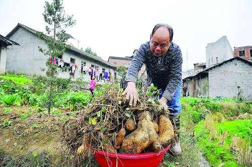 �����������������������ִ����