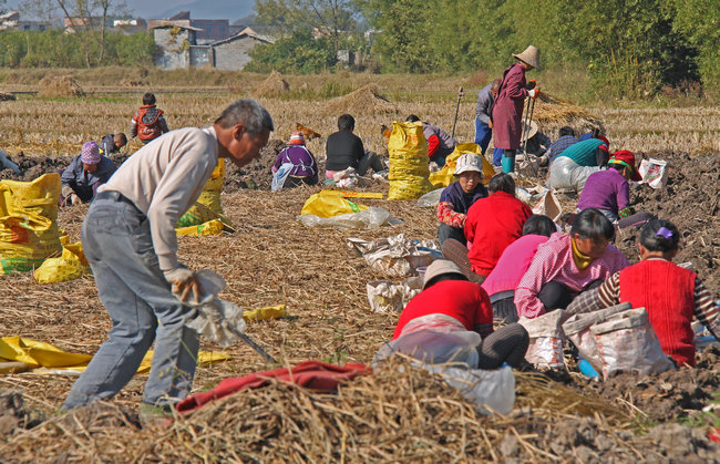 ������ɽ�ط�����С�����Ϊ�¸����ҵ