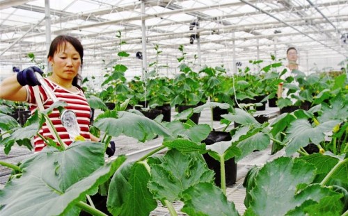 �ຣ�����ֶ����������ƹ��߲���Ʒ�ֻ����