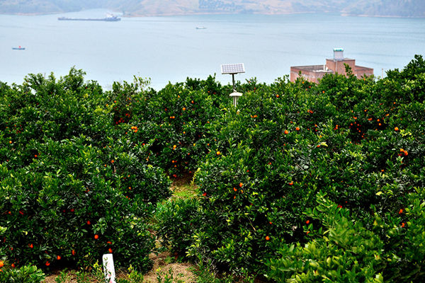 ������������� 30���ũ����