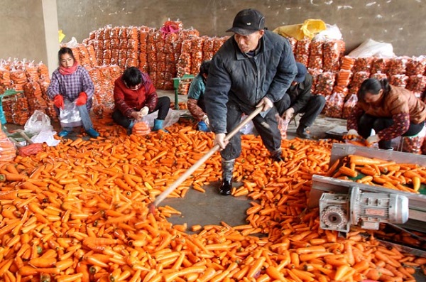 ���ջ��������ܲ�ϲ�����