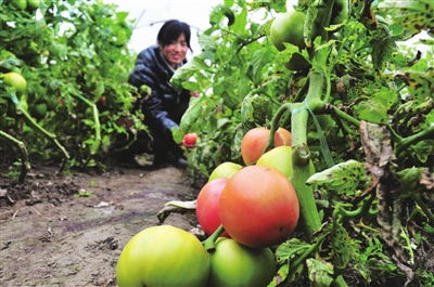 ���պ����з����ڷ�������