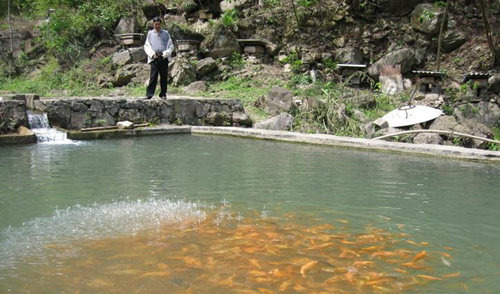 ���ϴ������ҵϲ�����