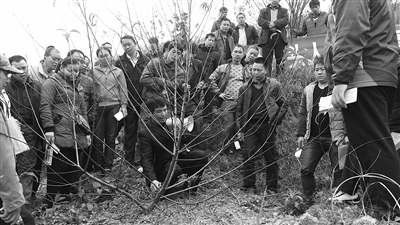 ����������ͷ ���ڼ��� �ƽ��������ɫˮ�����÷�չ