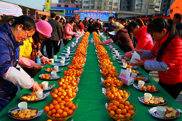 广西融安:“我是融安金桔王”擂台赛