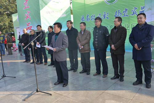 �Ĵ��˱����׽�����ҵչ�����Ч����