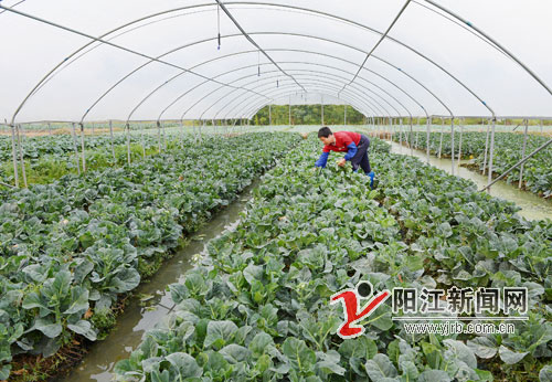 㶫޴໧ũֲֳˡ㶫ơ